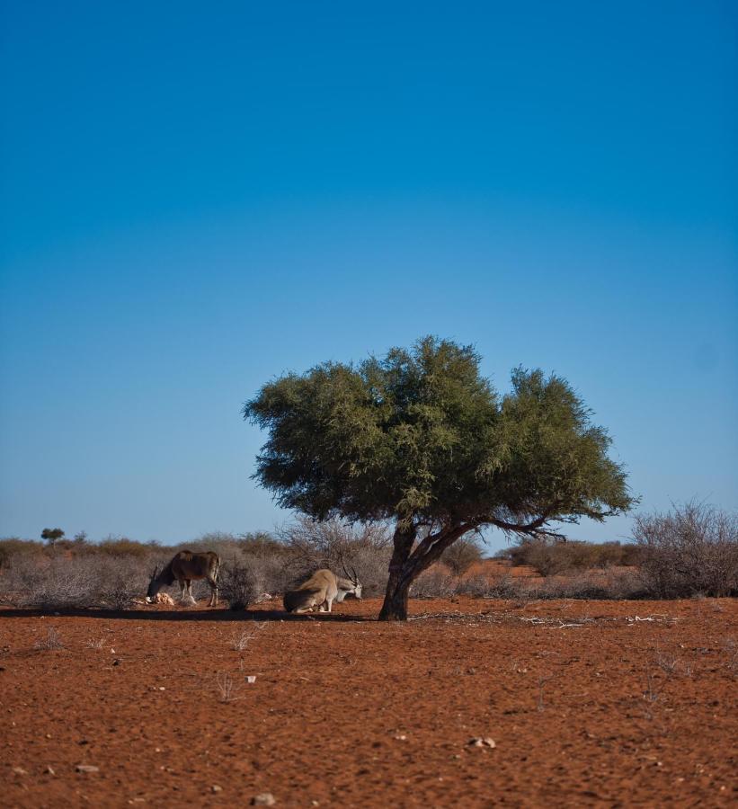 Kalahari Anib Campsite Hardap 외부 사진